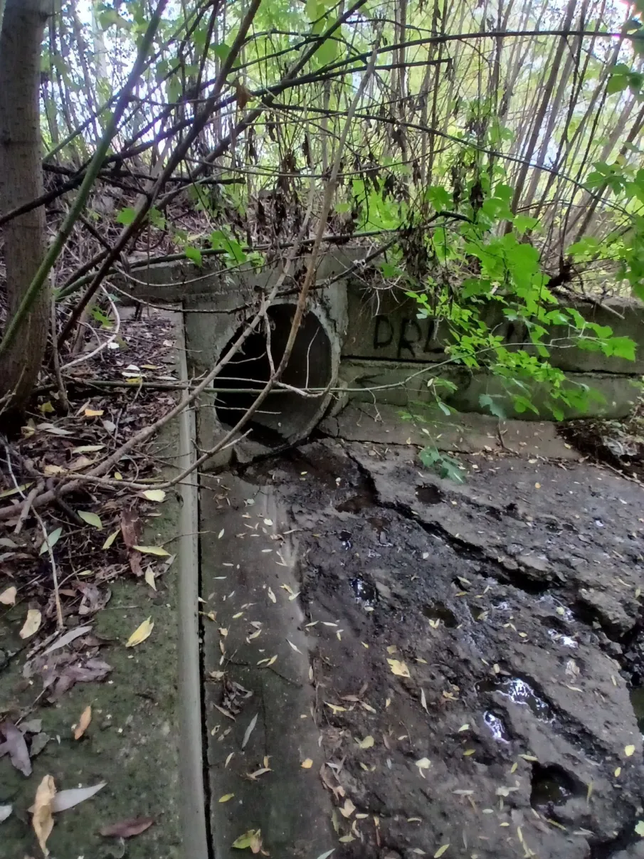 В соответствии с положением о порядке принятия, учета и оформления в муниципальную собственность городского округа город Выкса Нижегородской области бесхозяйных вещей и выморочного имущества, а также о порядке прекращения права собственности на бесхозяйственно содержимое или используемое не по назначению помещение, утвержденным постановлением администрации г.о.г. Выкса Нижегородской области от 21.01.2015 № 83, комитет по управлению муниципальным имуществом администрации г.о.г Выкса Нижегородской области информирует о выявлении имущества, обладающего признаками выморочного, бесхозяйственно содержимого или используемого не по назначению помещения: